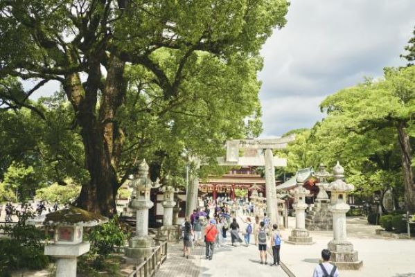 福岡初詣《太宰府天満宮・筥崎宮》⛩ 日帰りバスツアー🚌2